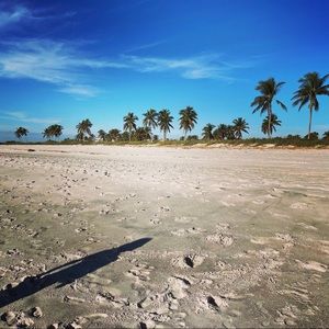 Meet your Posher, Kasi